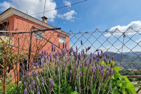 Byhus i Comares, Malaga, Comares - € 335.000 | Ref: AX1422 - foto 4